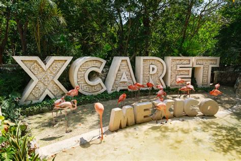 X Caret Park