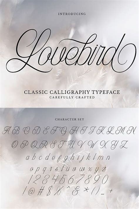 Modern Calligraphy Font Download