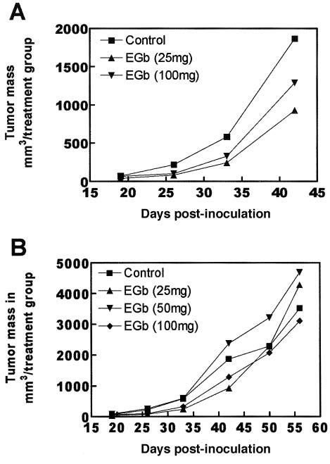 Effect Of Egb On The Growth Of U Glioma Xenografts In Nude Mice