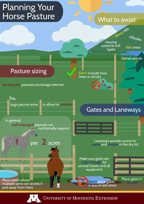 Planning Your Horse Pasture | Extension Horses