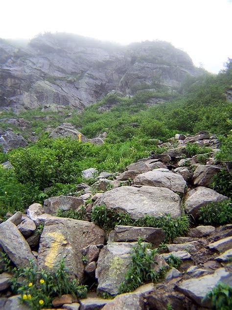 Hiking In The White Mountains Tuckerman Ravine And The Great Gulf