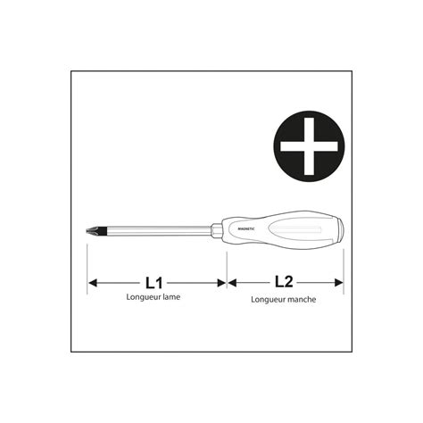 Tournevis Cruciforme Lame Traversante Ph X Mm