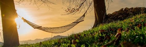 Premium Photo Hammock Suspended Between Two Trees