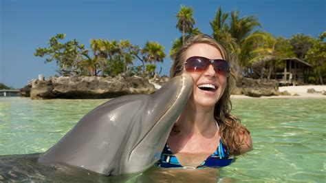 The 17 Best Destinations Around The World For Swimming With Dolphins