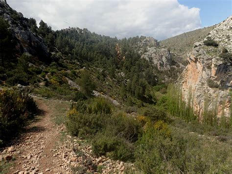 Cima A Cima Ruta Del Zarzalar Nerpio