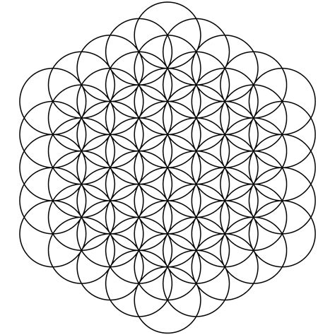 Flower Of Life Vector By Robzombiefan2121 On Deviantart