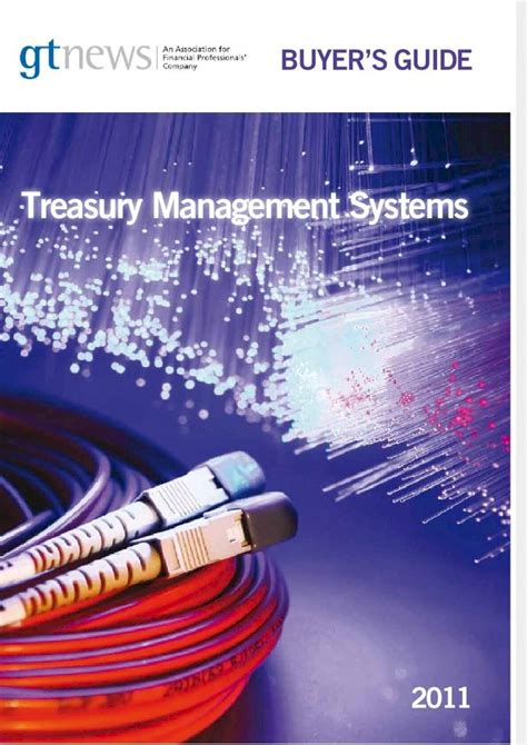 Pdf Treasury Management System Dokumen Tips