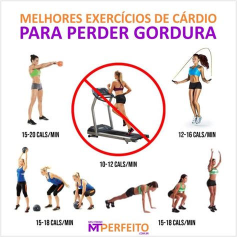 Melhores exercícios de cárdio para perder gordura Meu Treino Perfeito