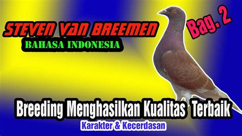 MERPATI LOVERS THE SECRET BREEDING MERPATI SANG MAESTRO PIGEONS BAG 2