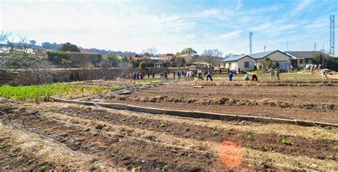 Targeted Hiring for Rural Programs: A Recruitment Strategy in Community