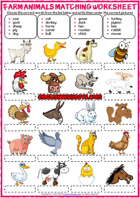 Farm Animals Esl Vocabulary Matching Exercise Worksheet