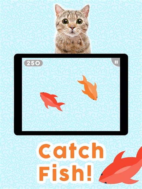 games with cats online 7