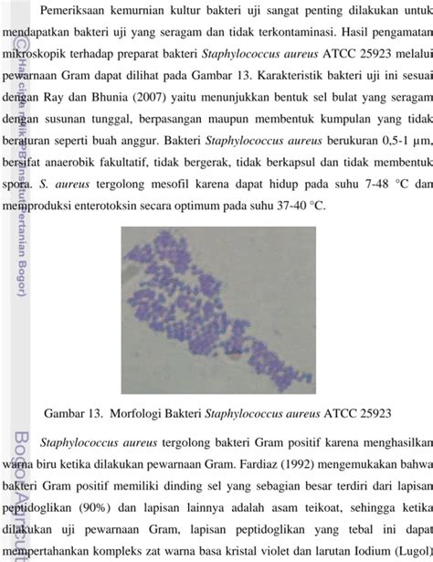 Hasil Dan Pembahasan Karakteristik Kultur Bakteri Uji Staphylococcus