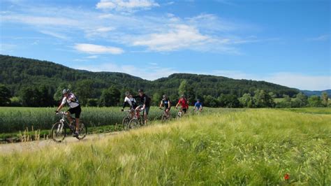 Domaine Vtt Du Sundgau Visit Alsace