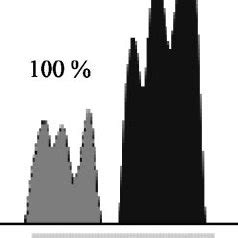 Effects of HA on PM H ϩ ATPase activity and proton pump Download