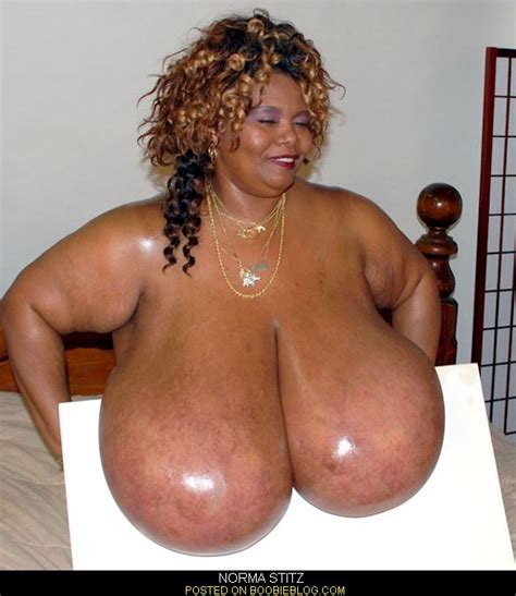 Norma Stitz Boobie Blog Big Tits Every Day
