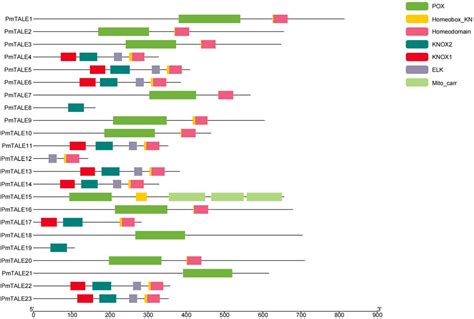 Frontiers Genome Wide Identification Of Three Amino Acid Loop