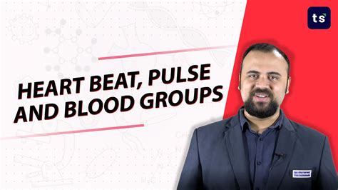 Heart Beat Pulse And Blood Groups Biology Heart Youtube