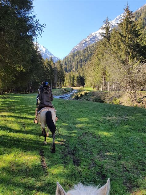 Passeggiate A Cavallo Val Camonica A Partire Da 45 Freedome