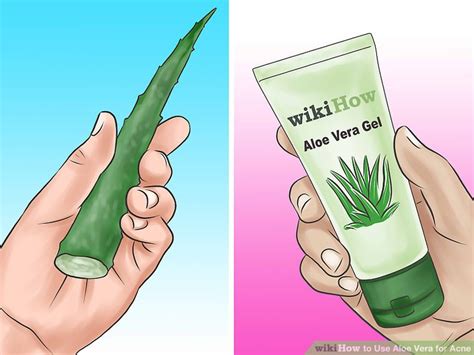 Does Aloe Vera Help Acne All You Need Infos