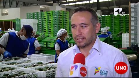 Exportadores De Aguacate Hass Esperan Duplicar Las Ventas En Canal