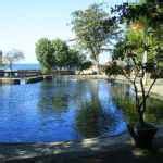 air sanih natural pool  buleleng palm living