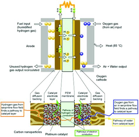 Working Principle Diagram Of Proton Exchange Membrane Fuel Cell PEMFC