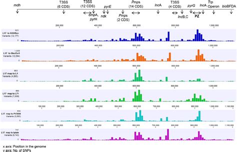 SNP Distribution And Identification Of Genomic Elements Across The