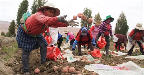 Midagri anuncia que Southern Perú implementaría una represa en que