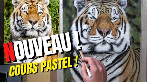 Comment Peindre Un Tigre Youtube