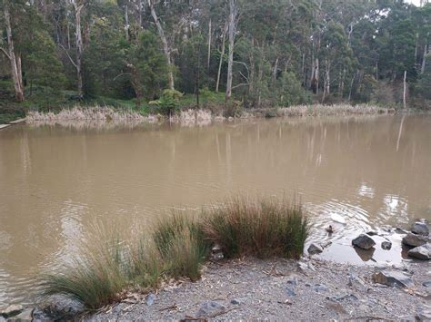 Belgrave Lake Park Bbq Playground Market And Fishing Map Vic