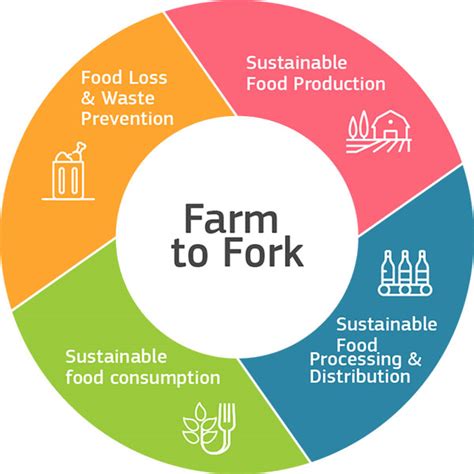 Farm To Fork Strategy For A Fair Healthy And Environmentally