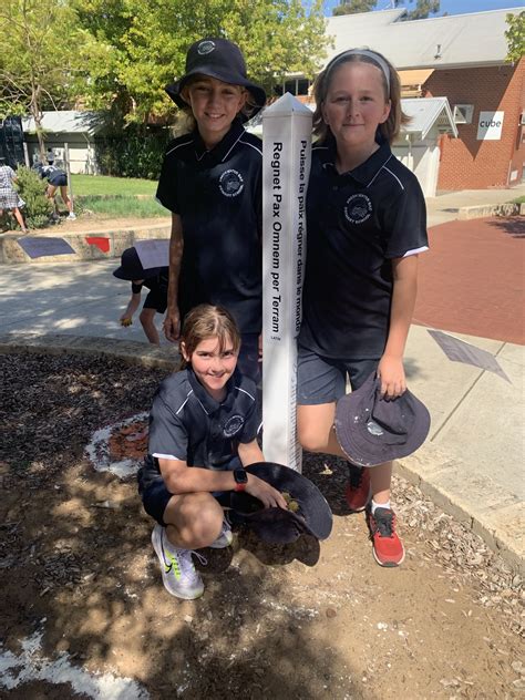 Freshwater Bay Primary Peace Pole Rotary Club Of Freshwater Bay