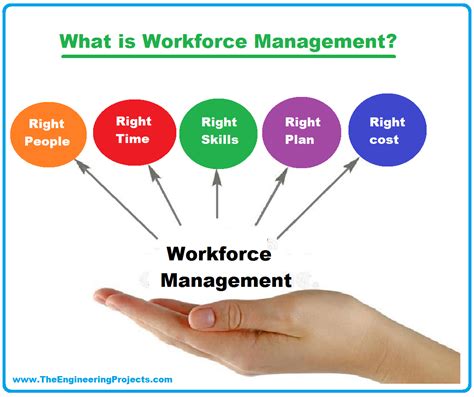 Requirement Of The Integrated Workforce Management System