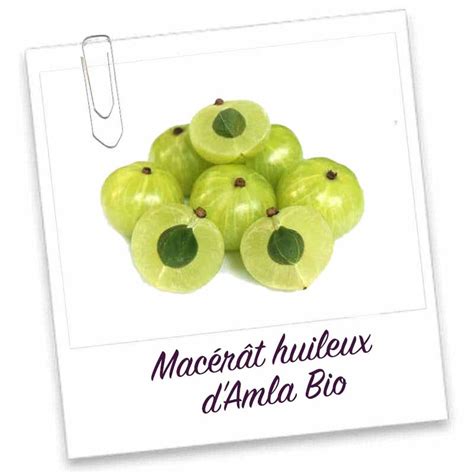 Macérat Huileux d Amla Bio 30ml Fabellashop Abidjan Côte d Ivoire