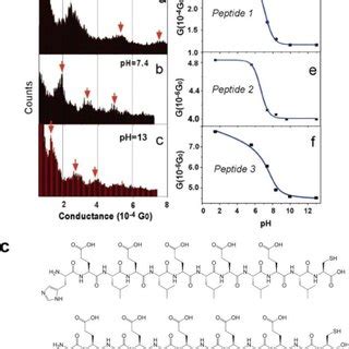 A The Structures Of Peptides With Different Numbers Of The Amide Bond