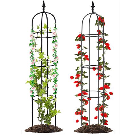 Mua Garden Obelisk Trellis For Climbing Plants Outdoor Moirsunt Pack