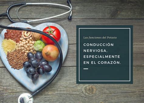 Las Funciones Del Potasio Nutritest