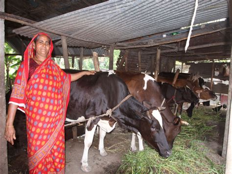 Livestock Loan Grameen Bank