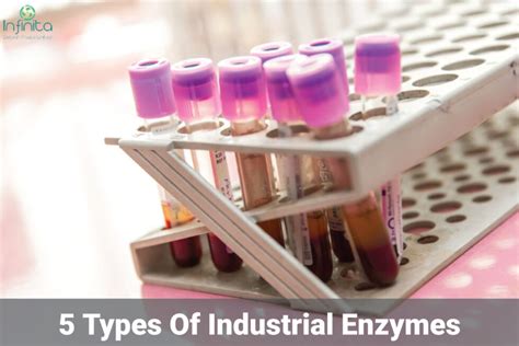 Best Types Of Industrial Enzymes Infinita Biotech