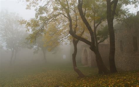 Foggy Autumn Wallpapers - Wallpaper Cave