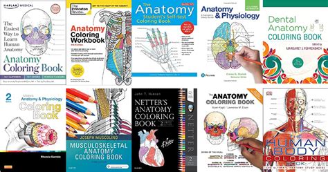 Anatomy Coloring Book Pdf