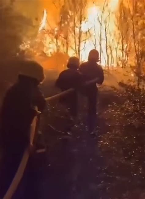 Crna Gora Gori A Politi Ari Se Prepucavaju Jankovi Im Se Po Ar