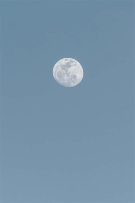 Daytime Moon Photos, Download The BEST Free Daytime Moon Stock Photos ...