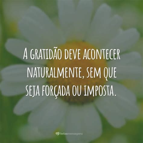 Frases De Reflex O Sobre Gratid O Para Ser Mais Grato Pelo Que Tem