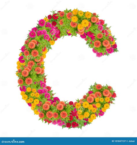 Letter C Alphabet Made From Zinnia Flower Stock Image Image Of Bloom