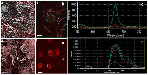 Microorganisms | An Open Access Microbiology Journal from MDPI