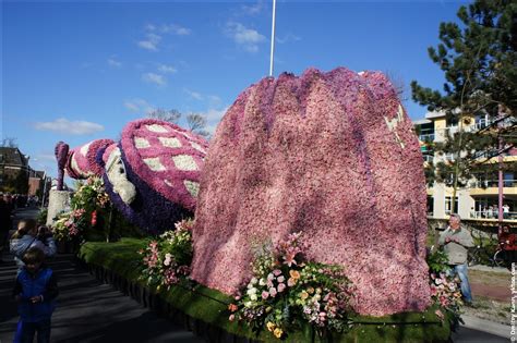 Flower parade | Yktoo