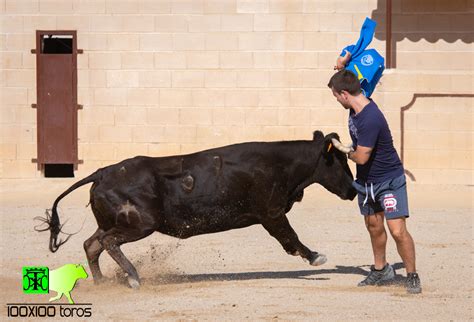 X Toros Capea En Finca La Morera Fuentelencina