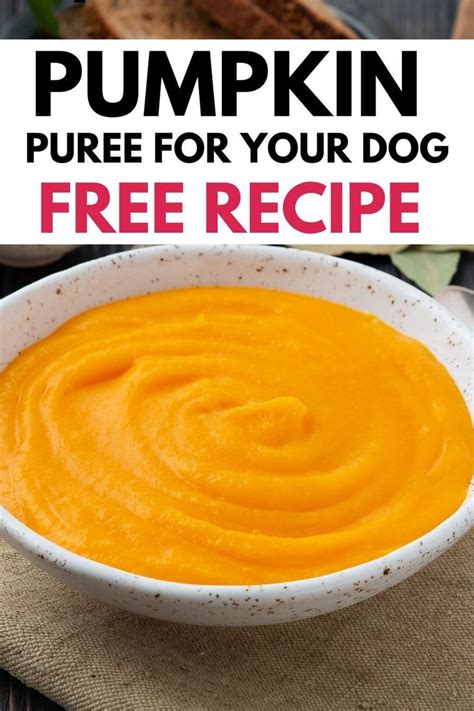 pumpkin puree for cats diarrhea - This Is A Huge Blogged Picture Show